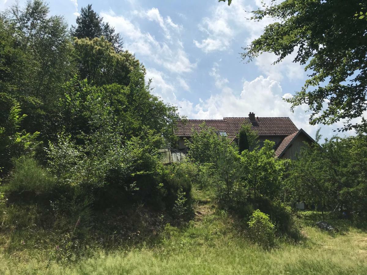 Gite Du Rocher Lapoutroie Exterior foto